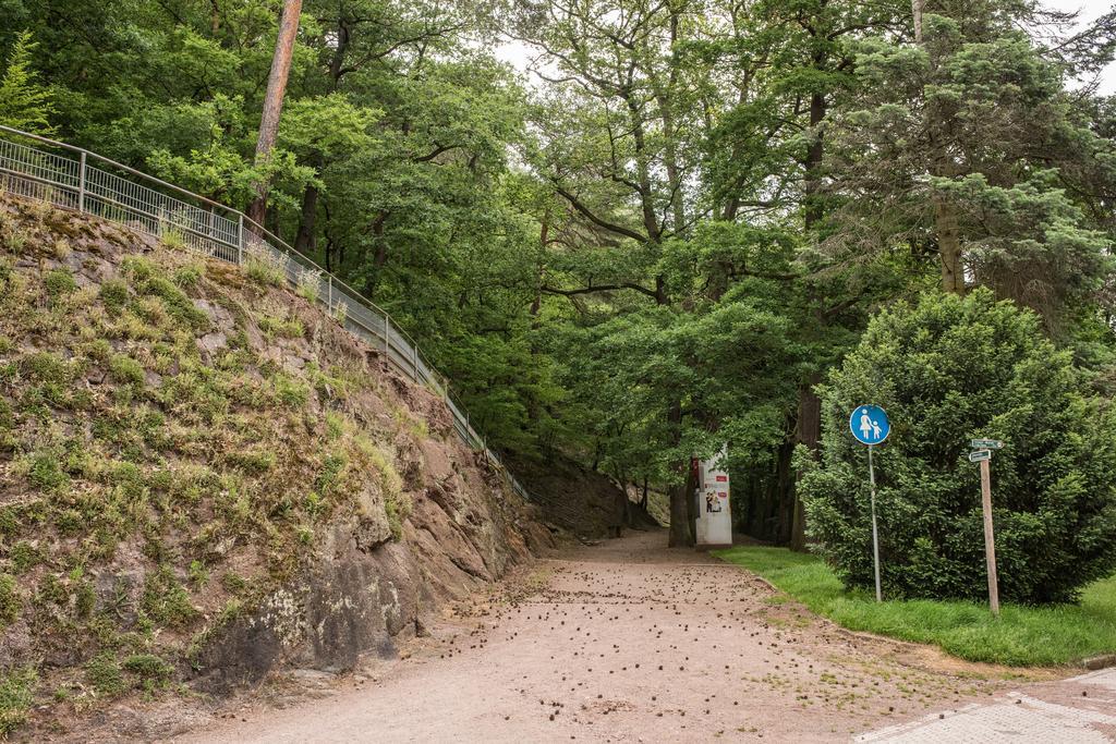 Loftwohnung Mit Sauna - Natur Und Kultur In Eisenach Erleben Und Geniessen Екстер'єр фото